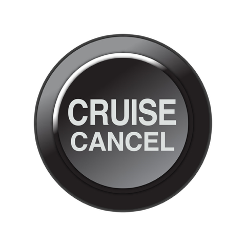 Link Engine Management Link CAN Keypad Insert – Cruise Cancel