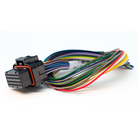 Link Engine Management B Loom Short (0LB)