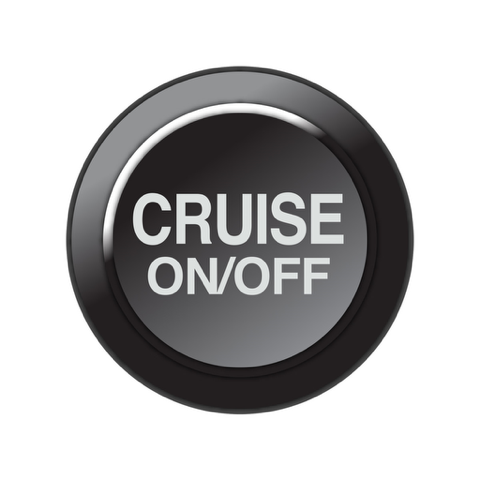 Link Engine Management Link CAN Keypad Insert – Cruise ON/OFF
