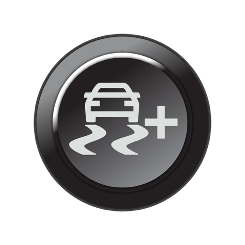 Link Engine Management Link CAN Keypad Insert - Traction Control Increase