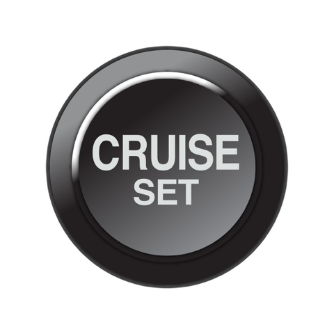 Link Engine Management Link CAN Keypad Insert – Cruise Set